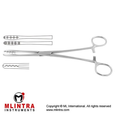 Ulrich Dressing Forcep Straight Stainless Steel, 26.5 cm - 10 1/2"